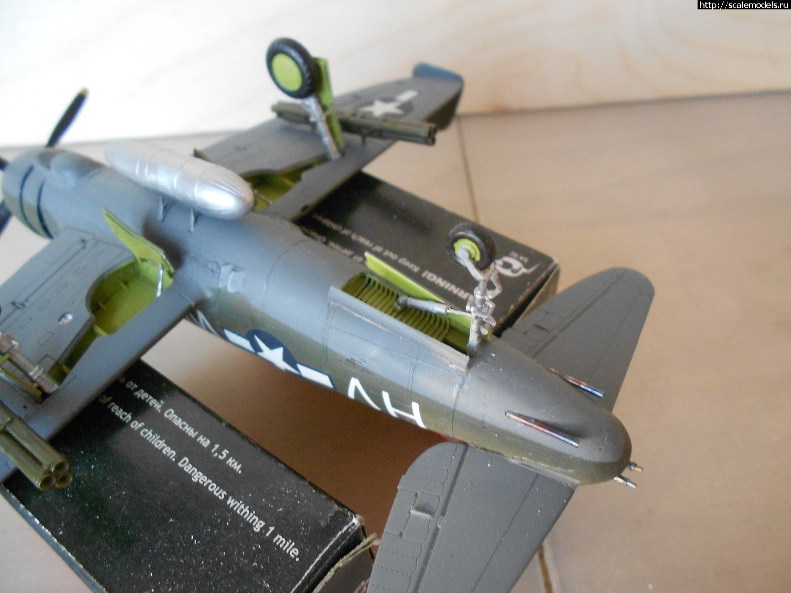 1595525330_DSCN6773.JPG : #1632955/ P-47R(P) Reversbolt 1/72    