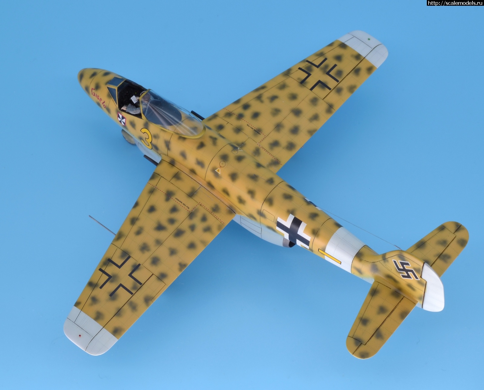 1596038244_10.JPG : #1633990/ Focke Wulf Fw P.II 1/48 Planet Models. .  