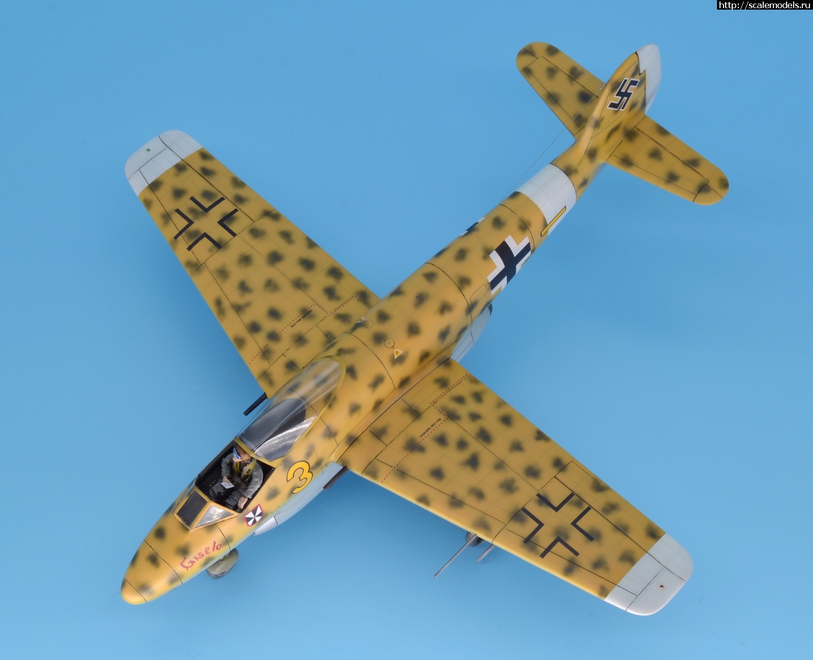 1596038255_13.JPG : #1633990/ Focke Wulf Fw P.II 1/48 Planet Models. .  