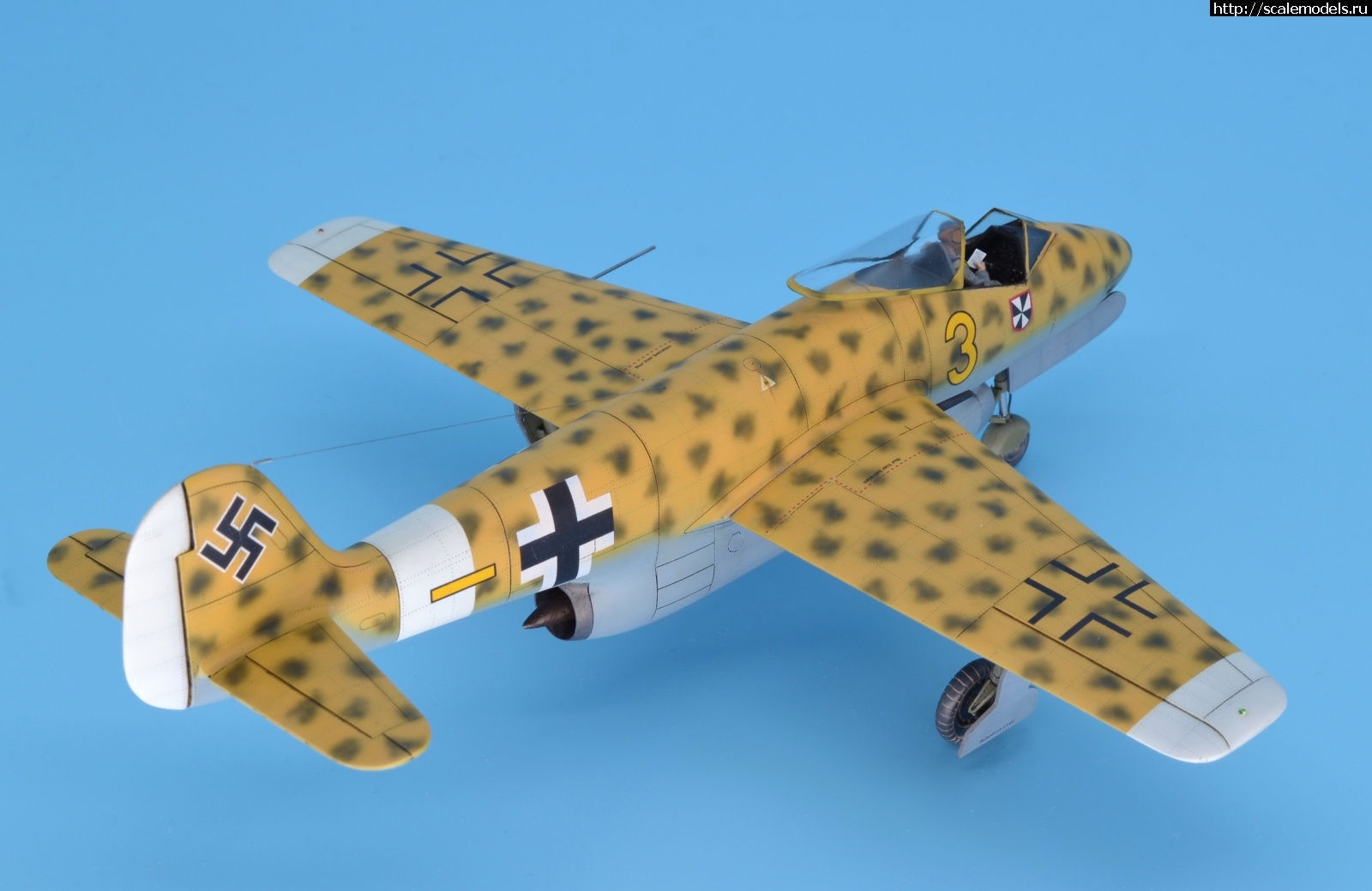 1596038288_21.JPG : #1633990/ Focke Wulf Fw P.II 1/48 Planet Models. .  