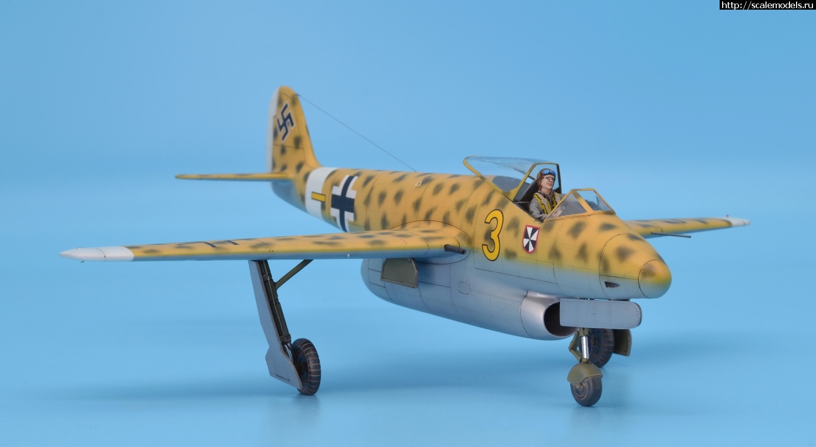 1596038311_28.JPG : #1633990/ Focke Wulf Fw P.II 1/48 Planet Models. .  