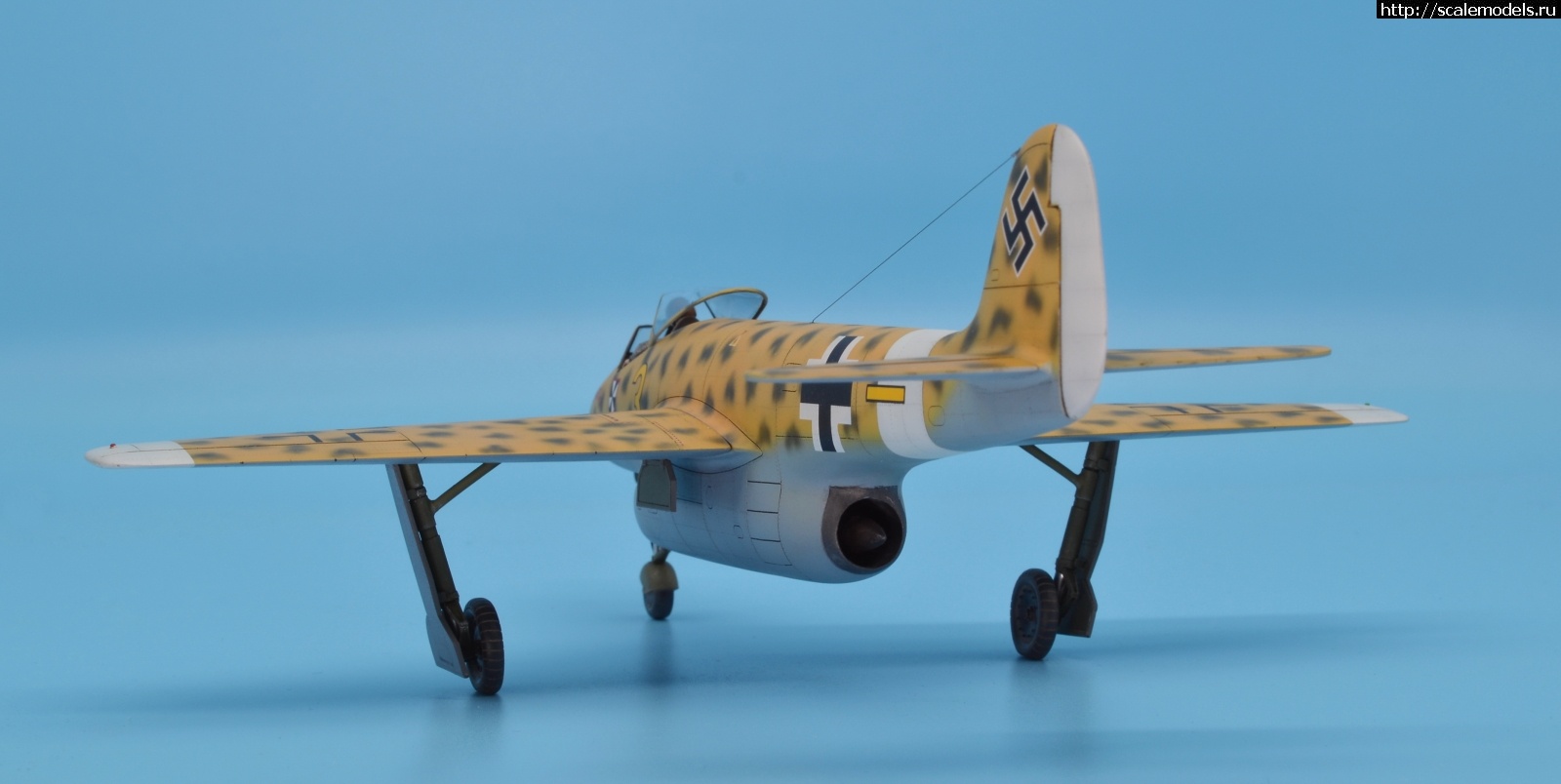 1596038326_31.JPG : #1633990/ Focke Wulf Fw P.II 1/48 Planet Models. .  