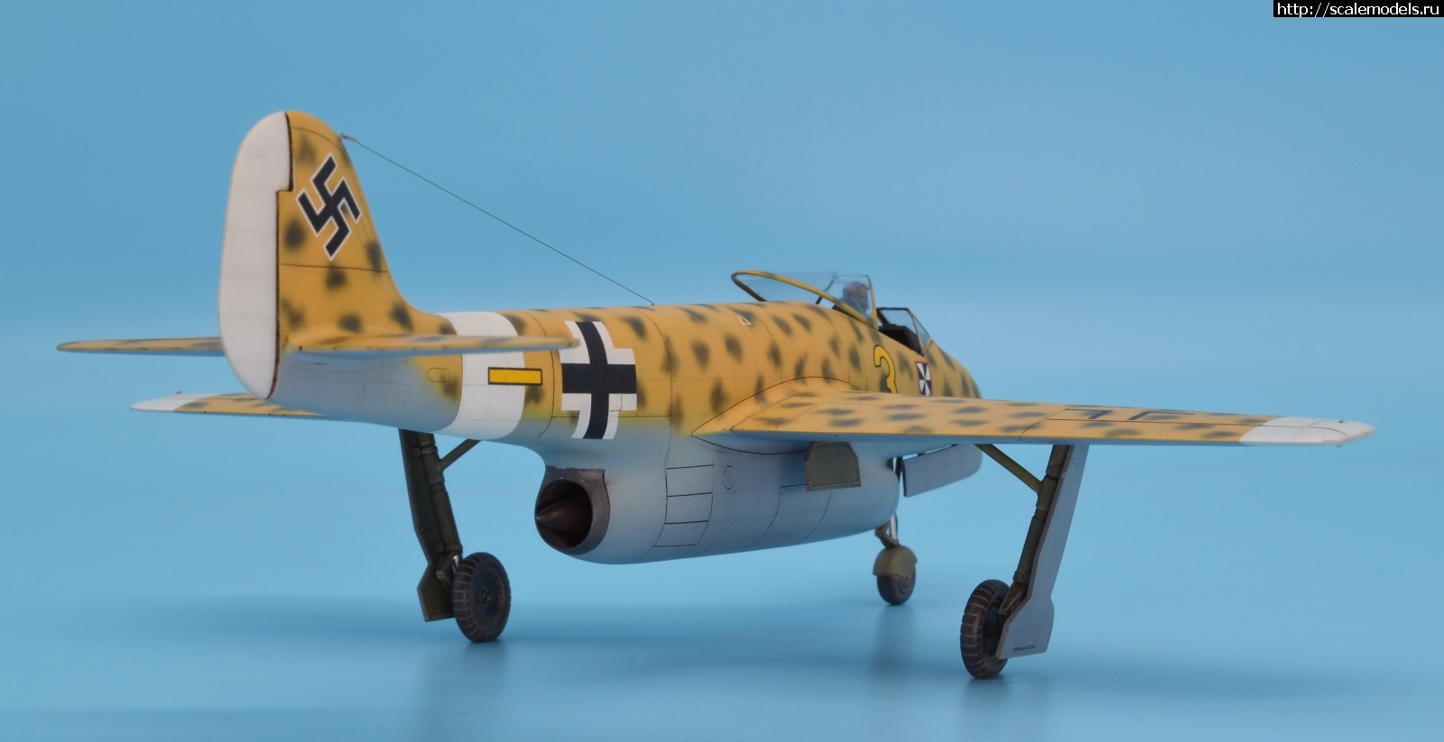 1596038329_32.JPG : #1633990/ Focke Wulf Fw P.II 1/48 Planet Models. .  