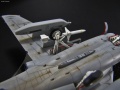 Hasegawa 1/72 EA-6B Prowler