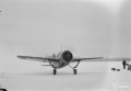 Hasegawa 1/72 Brewster B-239 -  