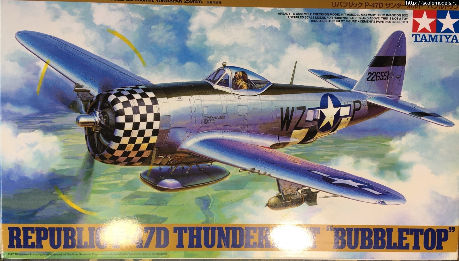 1596991327_01-5.JPG : Tamiya 1/48 P-47D.Thunderbolt.   . 2.  
