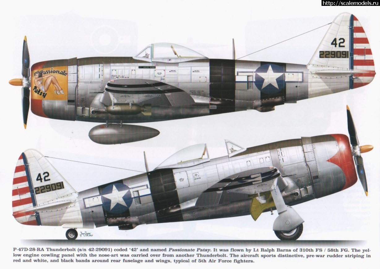 1596991351_05.png : Tamiya 1/48 P-47D.Thunderbolt.   . 2.  