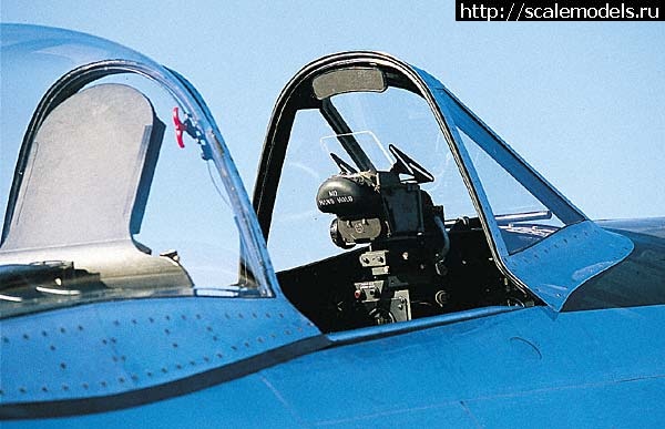 1597592722_1-fonar-37.jpg : #1636960/ Tamiya 1/48 P-47D.Thunderbolt.   . 2.  