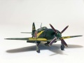 Hasegawa 1/72 J2M3 Raiden -     50  