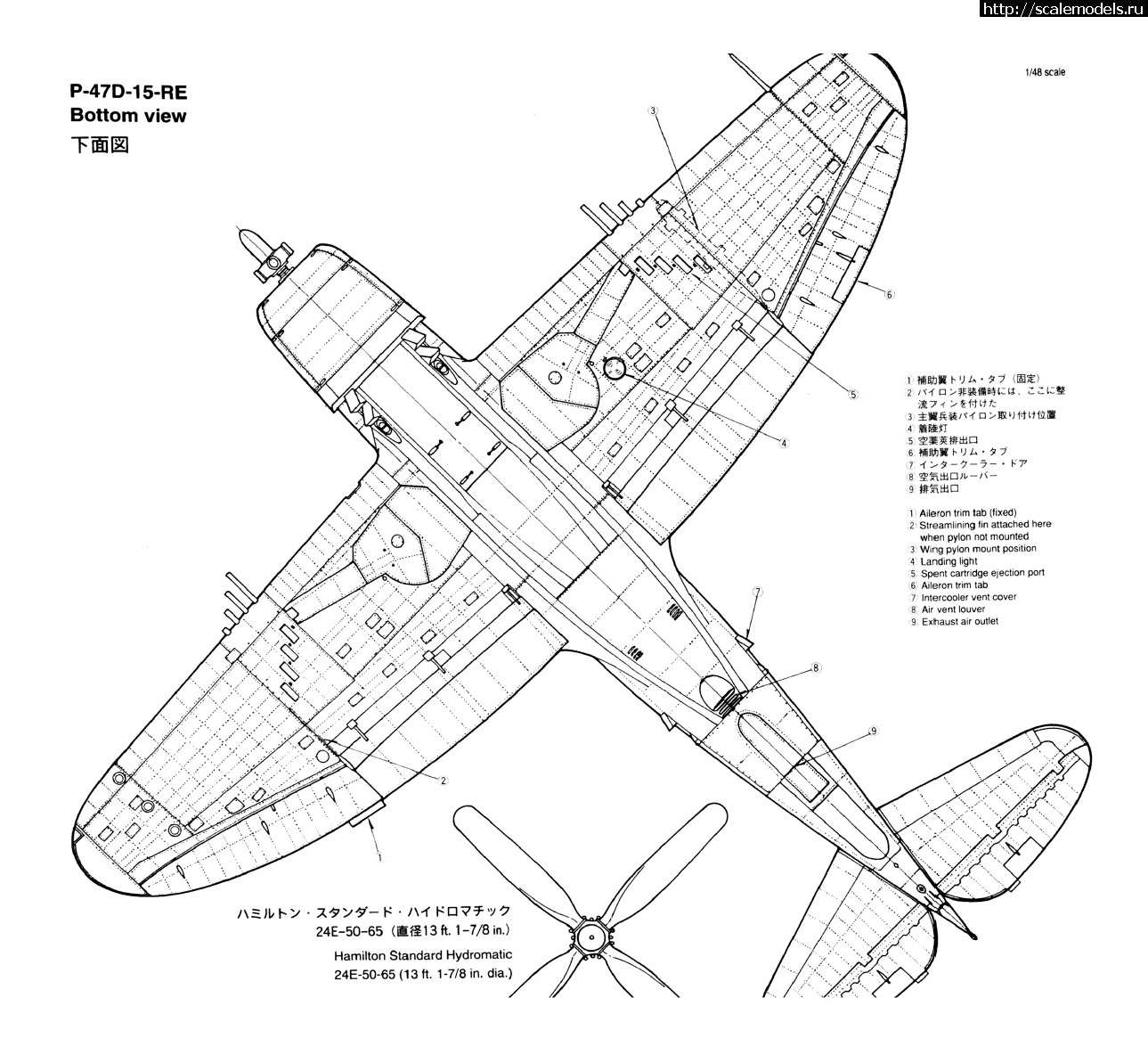 1601450840_549678-i34.jpg : #1643929/ Tamiya 1/48 P-47D.Thunderbolt.   . 2.  