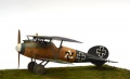 Eduard 1/48 Albatros D.V