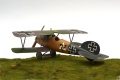 Eduard 1/48 Albatros D.V