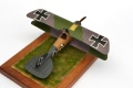 Eduard 1/48 Albatros D.V