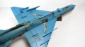 Eduard 1/48 MiG-21bisD  