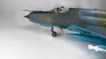 Eduard 1/48 MiG-21bisD  