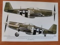  Exito Decals ED48008 - 1/48 Yoxford Girls - P-51D Mustang