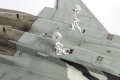 Tamiya 1/32 F-15J Eagle  Aggressor
