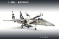 Tamiya 1/32 F-15J Eagle  Aggressor