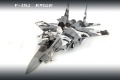 Tamiya 1/32 F-15J Eagle  Aggressor