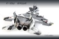 Tamiya 1/32 F-15J Eagle  Aggressor