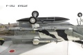 Tamiya 1/32 F-15J Eagle  Aggressor