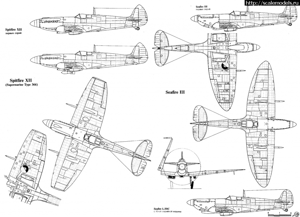 1601713313_Xthnt.jpg :  Tamiya Spitfire Mk.V/Trop 1/48,  .  