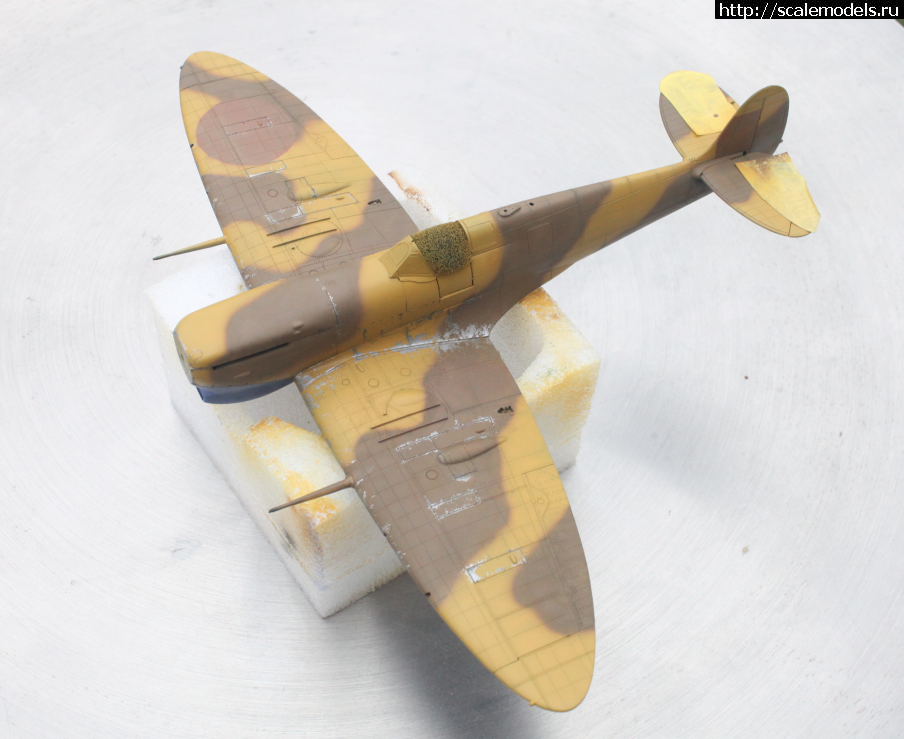 1604067491_snimok_7.png : #1648889/  Tamiya Spitfire Mk.V/Trop 1/48,  .  