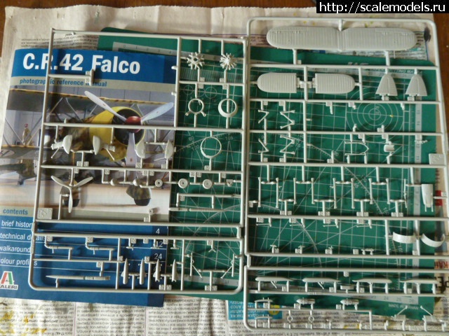 1604388655_P1090646.JPG : FIAT CR.42 Falco 1/72 "Italeri"  