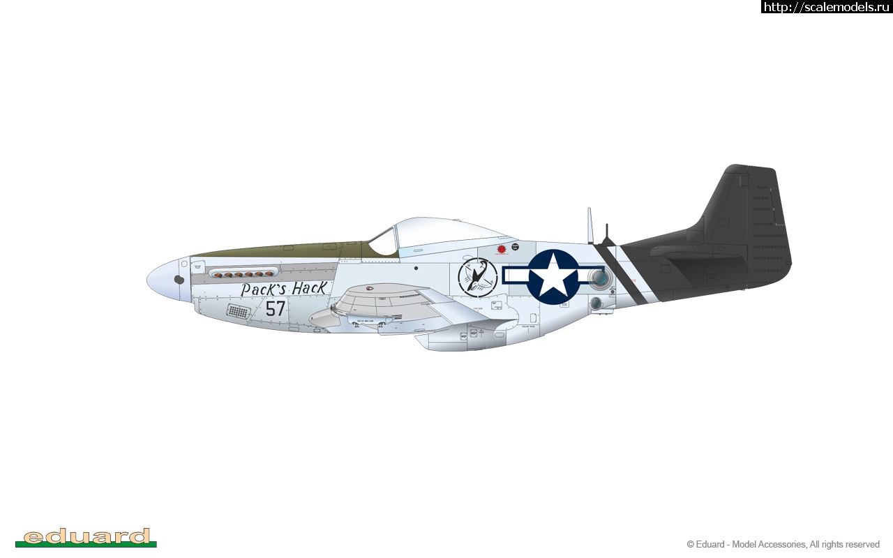 1604569703_82103_05-1.jpg :  Eduard 1/48 North American F-6D/K Mustang Profi-PACK  