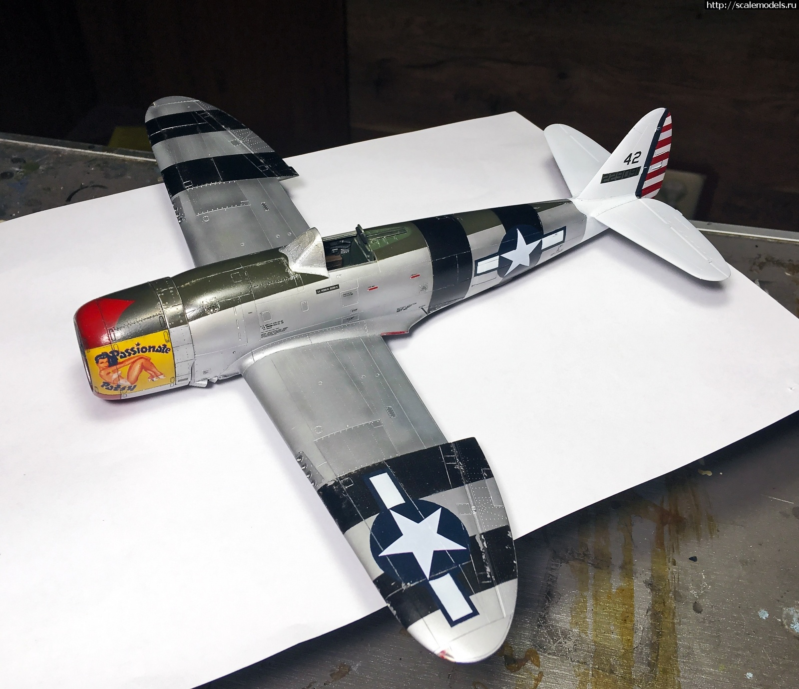 1604862765_IMG_5512.JPG : #1650472/ Tamiya 1/48 P-47D.Thunderbolt.   . 2.  