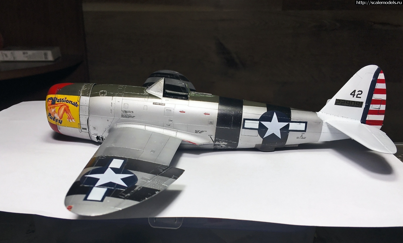 1604862769_IMG_5513.JPG : #1650472/ Tamiya 1/48 P-47D.Thunderbolt.   . 2.  