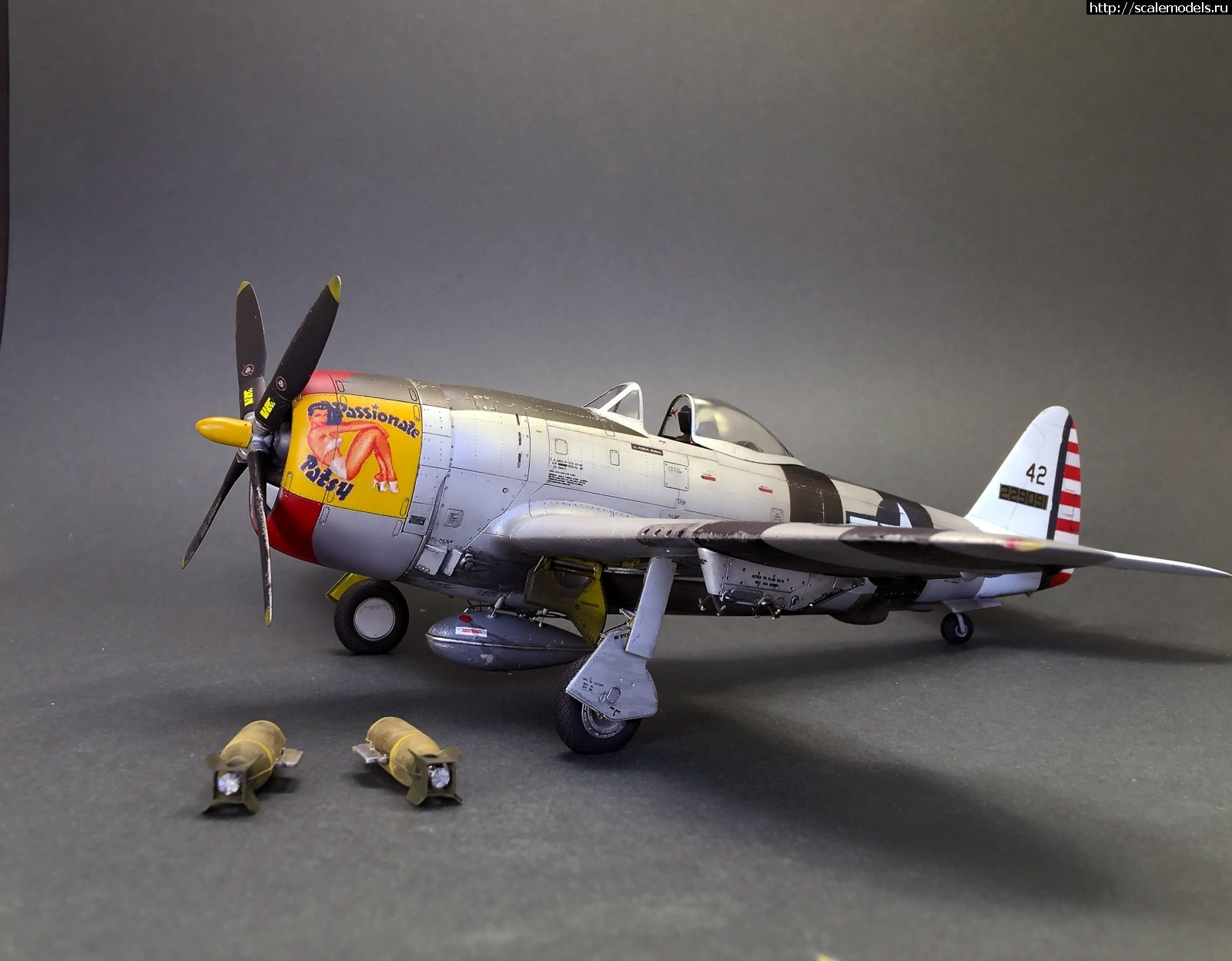 1605804544_IMG_5521.JPG : #1652351/ Tamiya 1/48 P-47D.Thunderbolt.   . 2.  