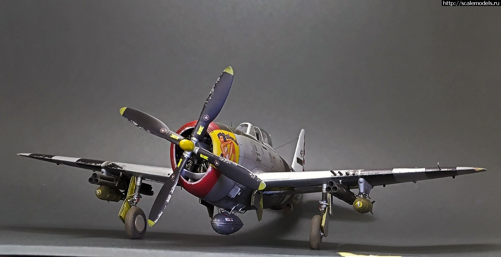 1605980892_IMG_5567.JPG : #1652704/ Tamiya 1/48 P-47D.Thunderbolt.   . 2.  