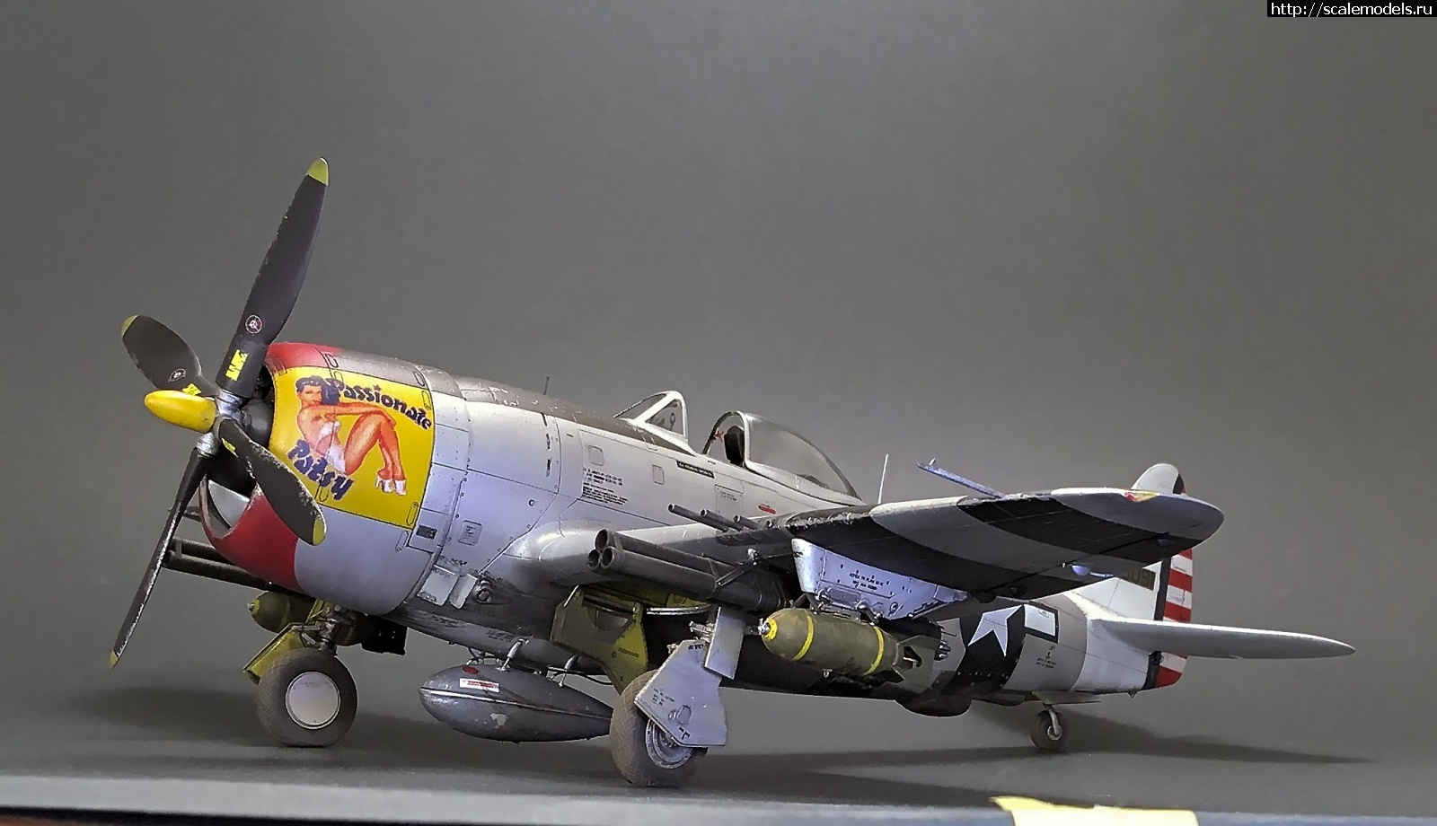 1605980894_IMG_5568.JPG : #1652704/ Tamiya 1/48 P-47D.Thunderbolt.   . 2.  