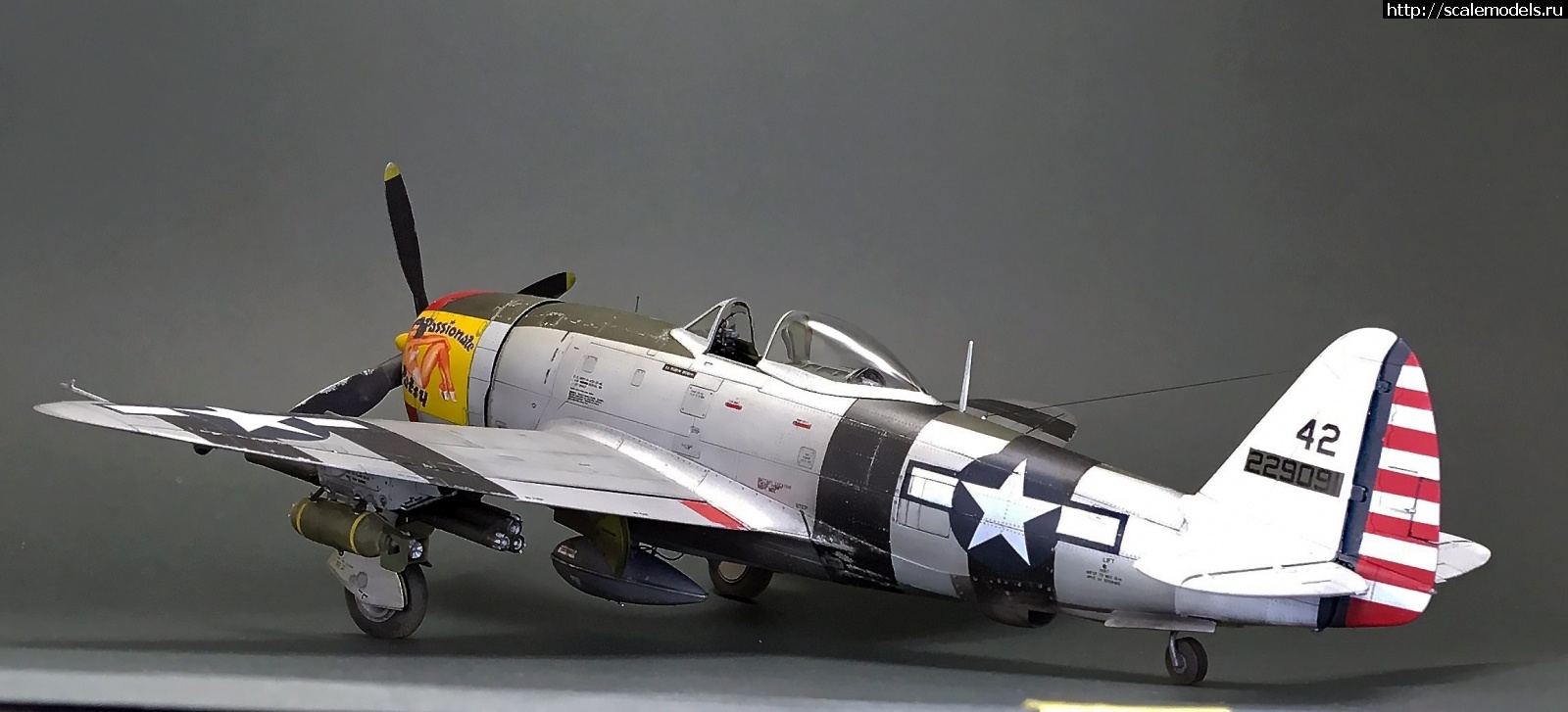 1605980896_IMG_5571.JPG : #1652704/ Tamiya 1/48 P-47D.Thunderbolt.   . 2.  