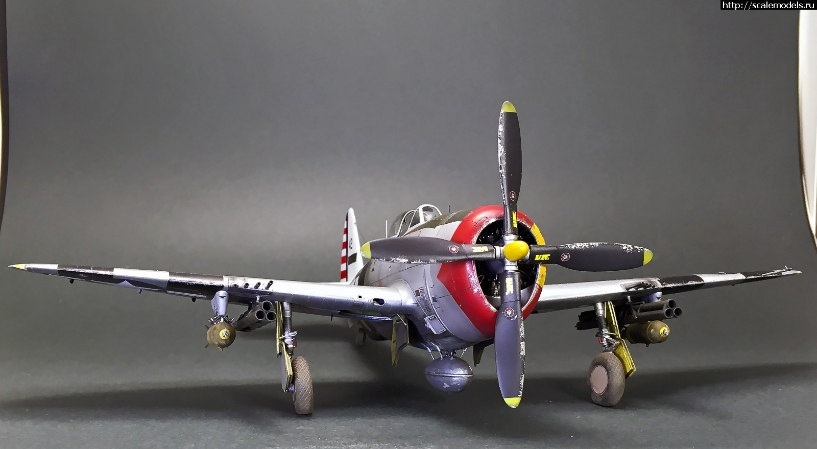 1605980906_IMG_5578.JPG : #1652704/ Tamiya 1/48 P-47D.Thunderbolt.   . 2.  