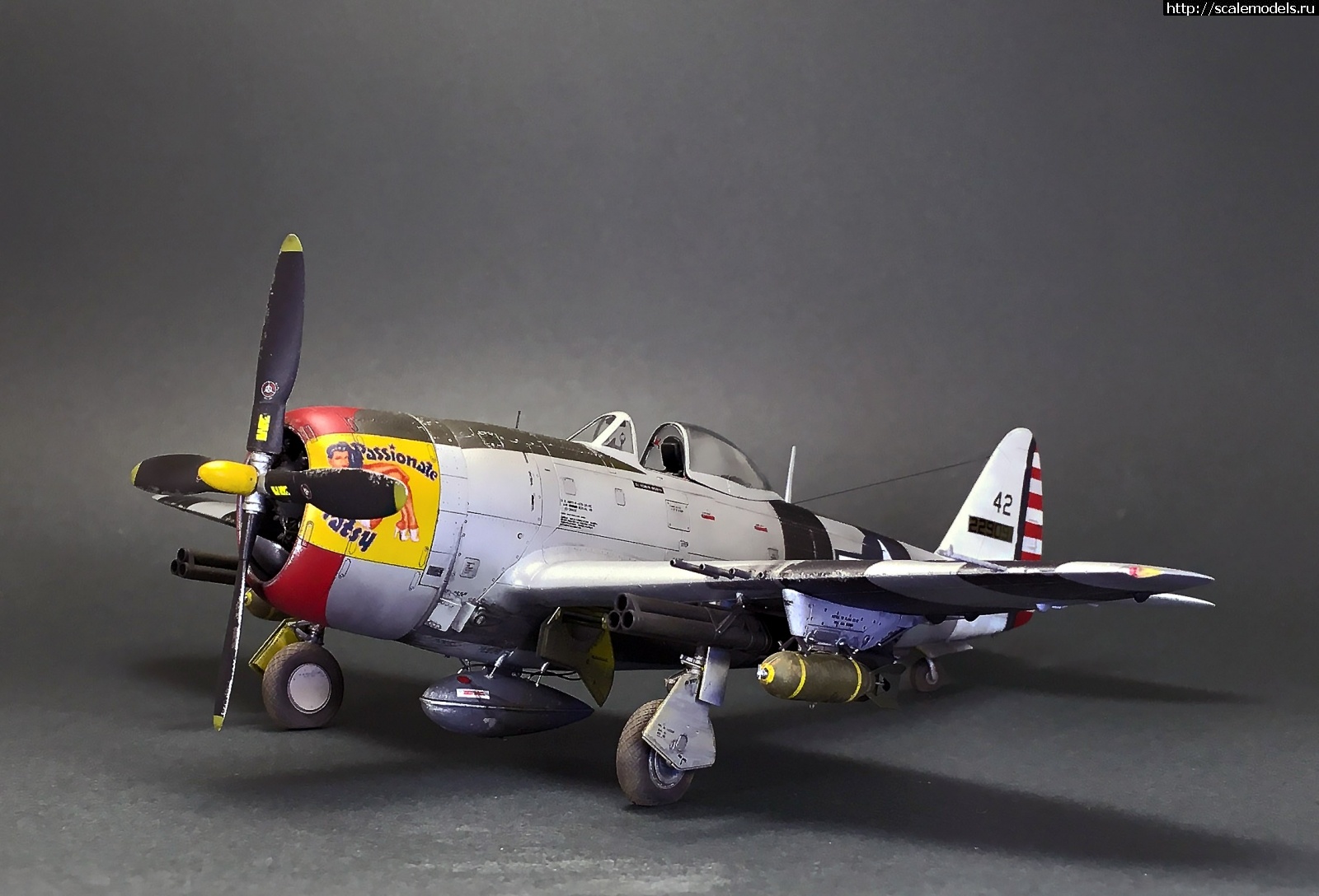 1605980908_IMG_5580.JPG : #1652704/ Tamiya 1/48 P-47D.Thunderbolt.   . 2.  