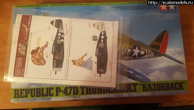 1606057446_zz.jpg : Tamiya 1/48 P-47D Thunderbolt Razorback  