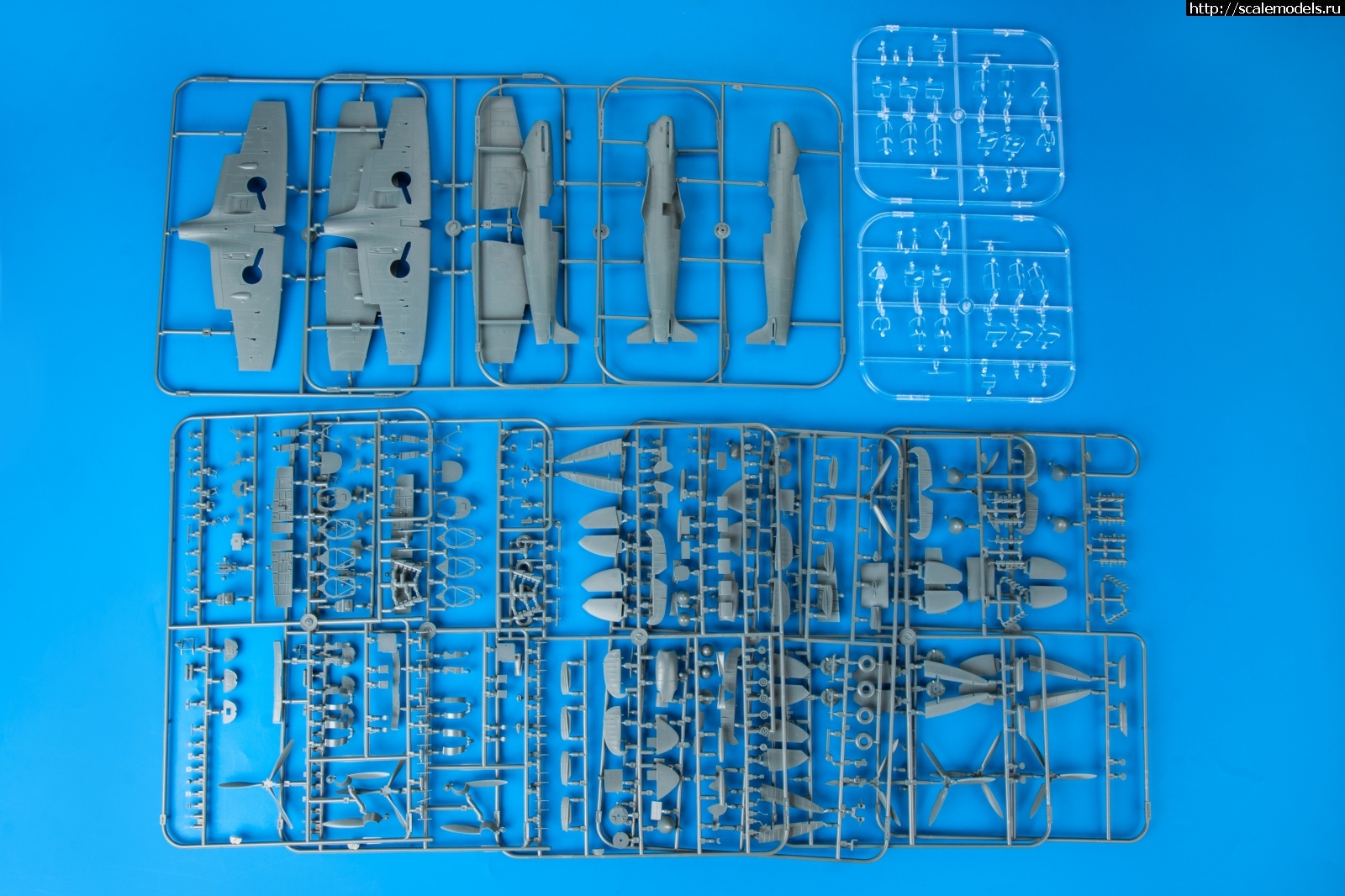 1607324824_11146_01-1.jpg :  Eduard 1/48 Supermarine Spitfire Story: Tally Ho  