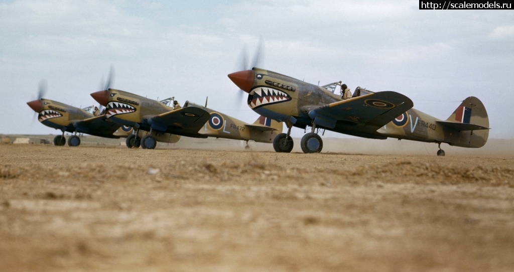 1608923717_3500-1.jpg : #1659764/     1-48 - 48-053 Curtiss P-40    