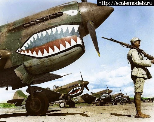 1608923719_unnamed.jpg : #1659764/     1-48 - 48-053 Curtiss P-40    