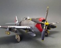 Tamiya 1/48 P-47D Thunderbolt - ,     ,  2