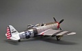 Tamiya 1/48 P-47D Thunderbolt - ,     ,  2