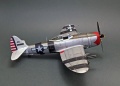 Tamiya 1/48 P-47D Thunderbolt - ,     ,  2