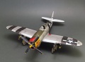 Tamiya 1/48 P-47D Thunderbolt - ,     ,  2