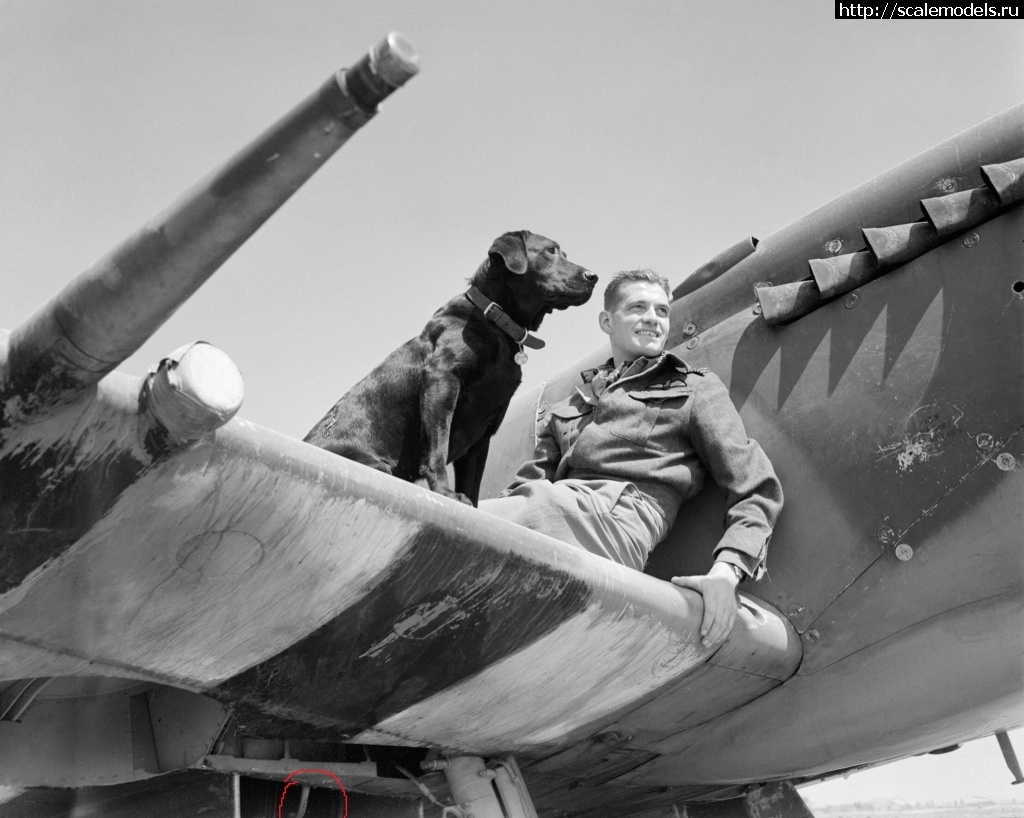 1610099867_Wing_Commander_J_E_-Johnnie-_Johnson_commanding_No-_144_Canadian_Wing_on_the_the_wing_of_his_Supermarine_Spitfire_Mk_IX_with_his_Labrador_retriever_Sally_at_Bazenville_Normandy_31_July_1944-_CL604.jpg : #1662463/ Spitfire Mk.Ia Airfix  1/72   