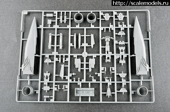 1611591869_5cf0efba59eb2.jpg : #1666029/ Trumpeter 1/72 MiG-31BM w/KH-47M2(#14761) -   