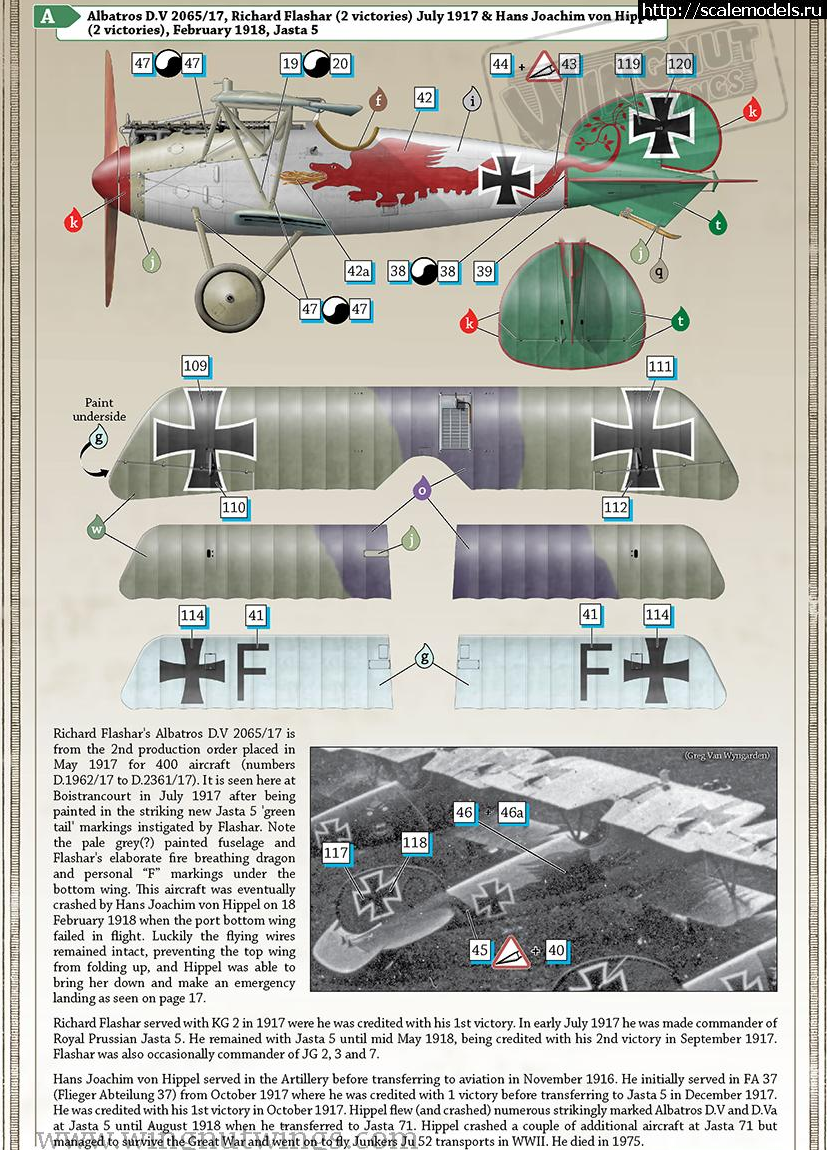 1613379426_Screenshot_2021-02-15-Wingnut-Wings---1-32-Albatros-D-V-D-Va-Jasta-5-Green-Tail-Trilogy.png : #1670396/ Albatros D.V 1/72 Eduard  