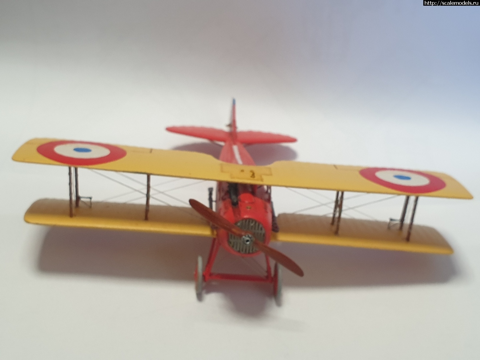 1614245066_20210225_112042.jpg : #1672096/ SPAD XII JMGT 1/48    