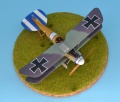 Eduard 1/48 Albatros D.V  -     B